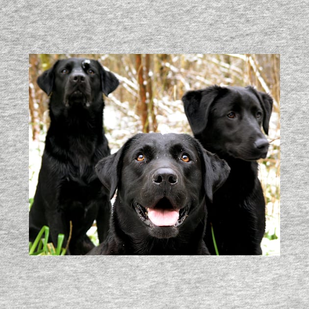 Black Lab Group by Wanderingangel